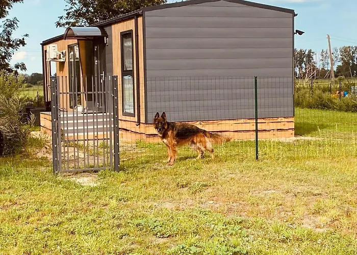 By Szczecin Lagoon With Garden نوفي فاربنو